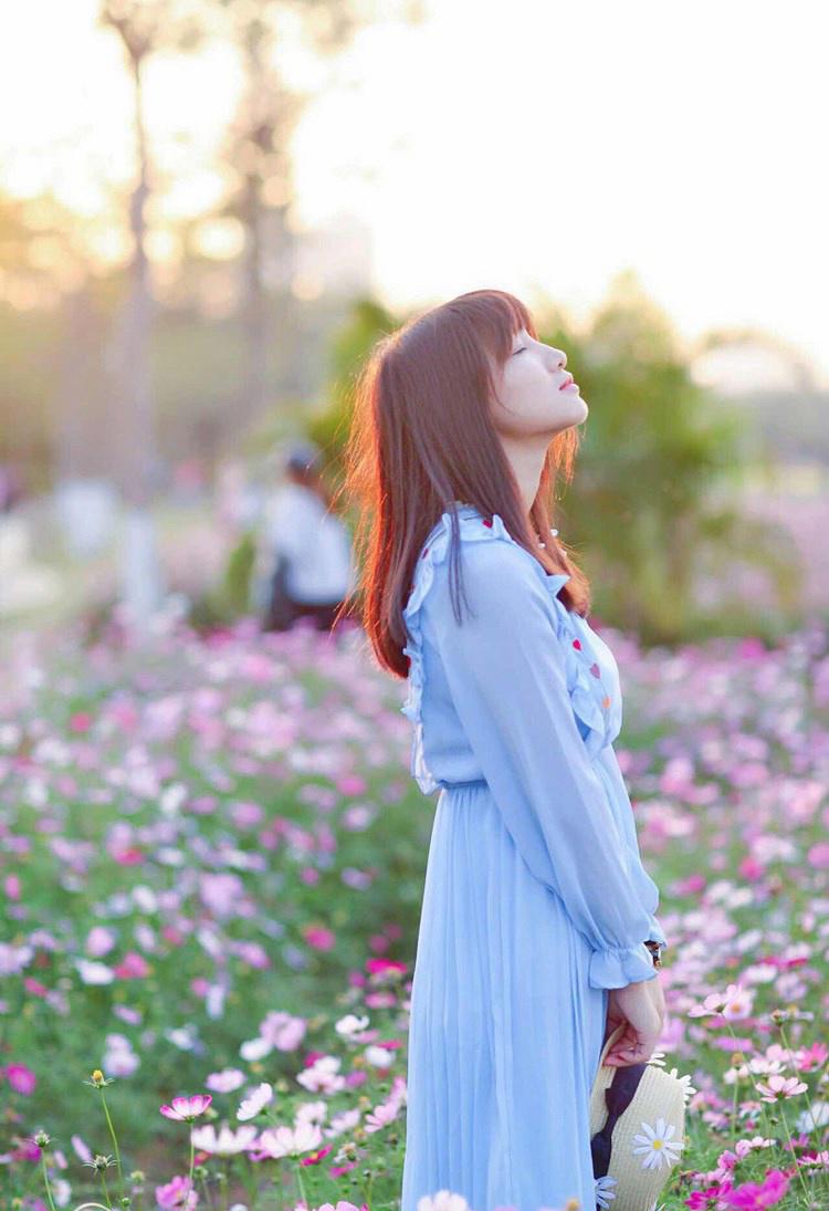 功夫不负有心人作文